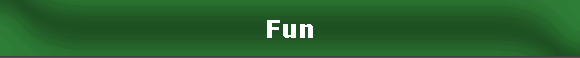Fun